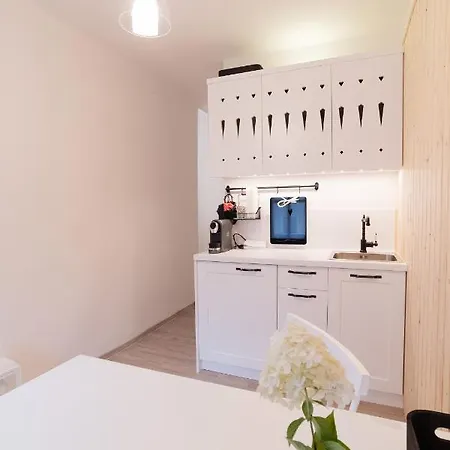 Pr'Mruzo Apartmaji Bohinj Exterior photo