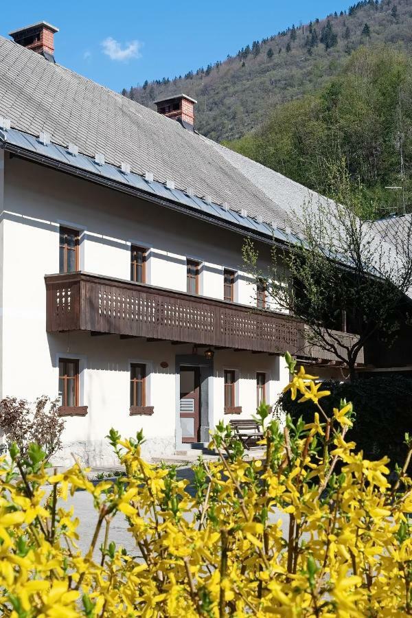 Pr'mruzo Apartmaji Apartment Bohinj